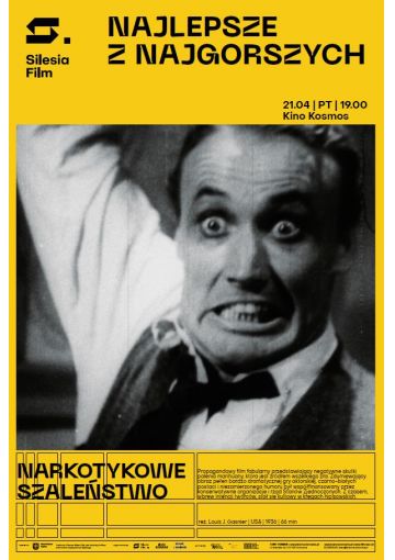 Narkotykowe szaleństwo